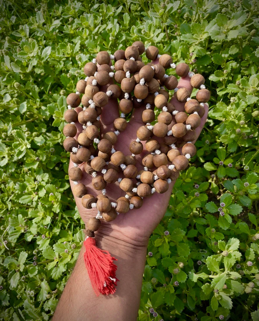 108+1 Brown Original Tulsi Jap Mala- 12 MM